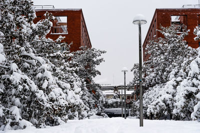 Snow covered houses and trees by building