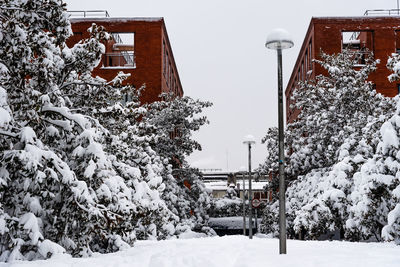Snow covered houses and trees by building