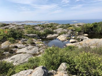 Scenic view of sea against sky