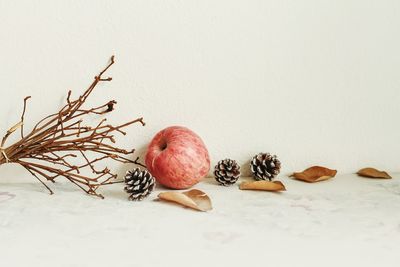 Close-up of apple on table against white background