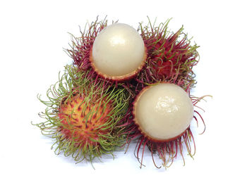 High angle view of fruits against white background