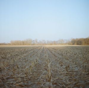 Scenic view of rural landscape