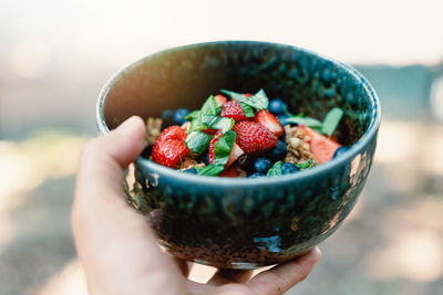 Midsection of person holding strawberries in bowl