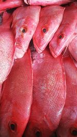 Full frame shot of fish for sale in market