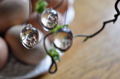 High angle view of brown eggs reflection in glass decoration