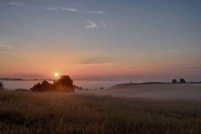 Scenic view of field against sky during sunset