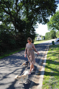 Young caucasian girl walks with two dogs on the road among tall trees in summer