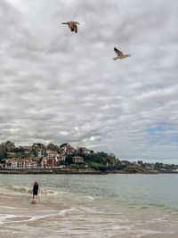 Birds flying over sea against sky