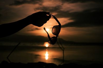 Close-up of silhouette plant against lake during sunset