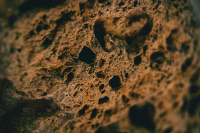 Detail shot of rock