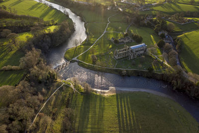 High angle view of river amidst trees