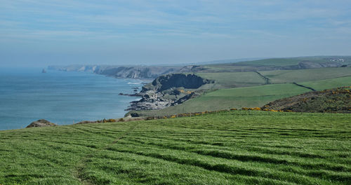 Scenic view of sea and field against sky