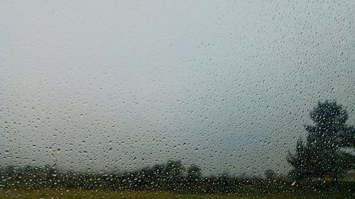 Close-up of water drops on rainy day