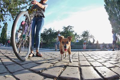 Low section of woman with dog on sidewalk against sky