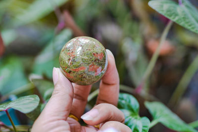 Close-up of hand holding sphere against plants