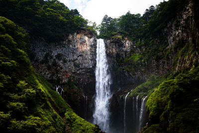 Low angle view of waterfall in forest