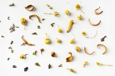 High angle view of candies over white background