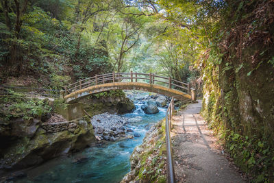 Footbridge over stream amidst trees in forest