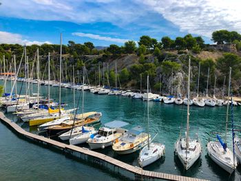 Boats moored in harbor