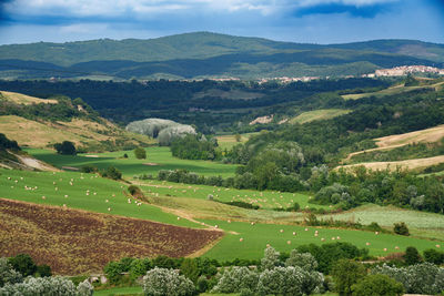 High angle view of trees and mountains against sky