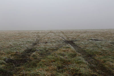 Scenic view of field against clear sky