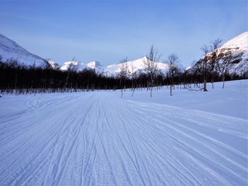 Snow covered land and trees against sky