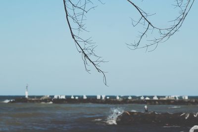 Close-up of bare tree against sea