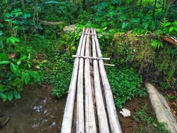 Fragile bamboo bridge over the river