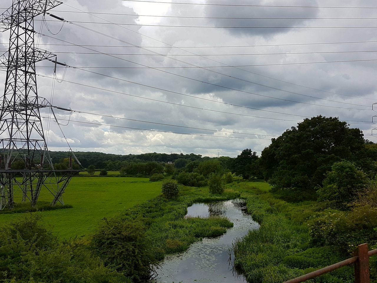 SCENIC VIEW OF TREES AGAINST SKY