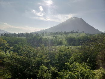 Scenic view of landscape against sky