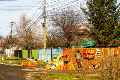 Graffiti on wall by trees against sky during autumn