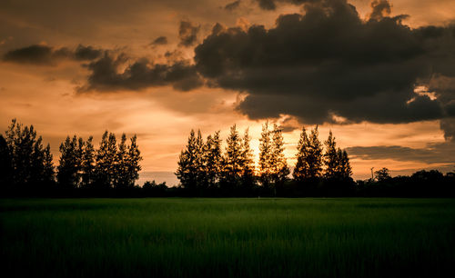 Scenic view of field against sky during sunset