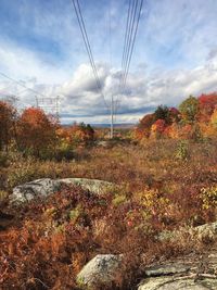 Scenic view of landscape against cloudy sky