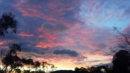 Silhouette of trees against cloudy sky