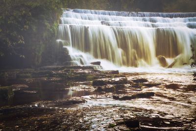 Scenic view of waterfall in forest