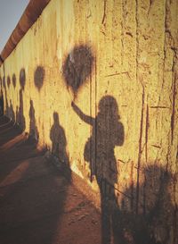 Shadow of man on wall