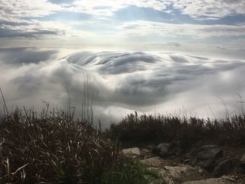 Scenic view of landscape against sky