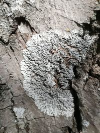 Full frame shot of rock