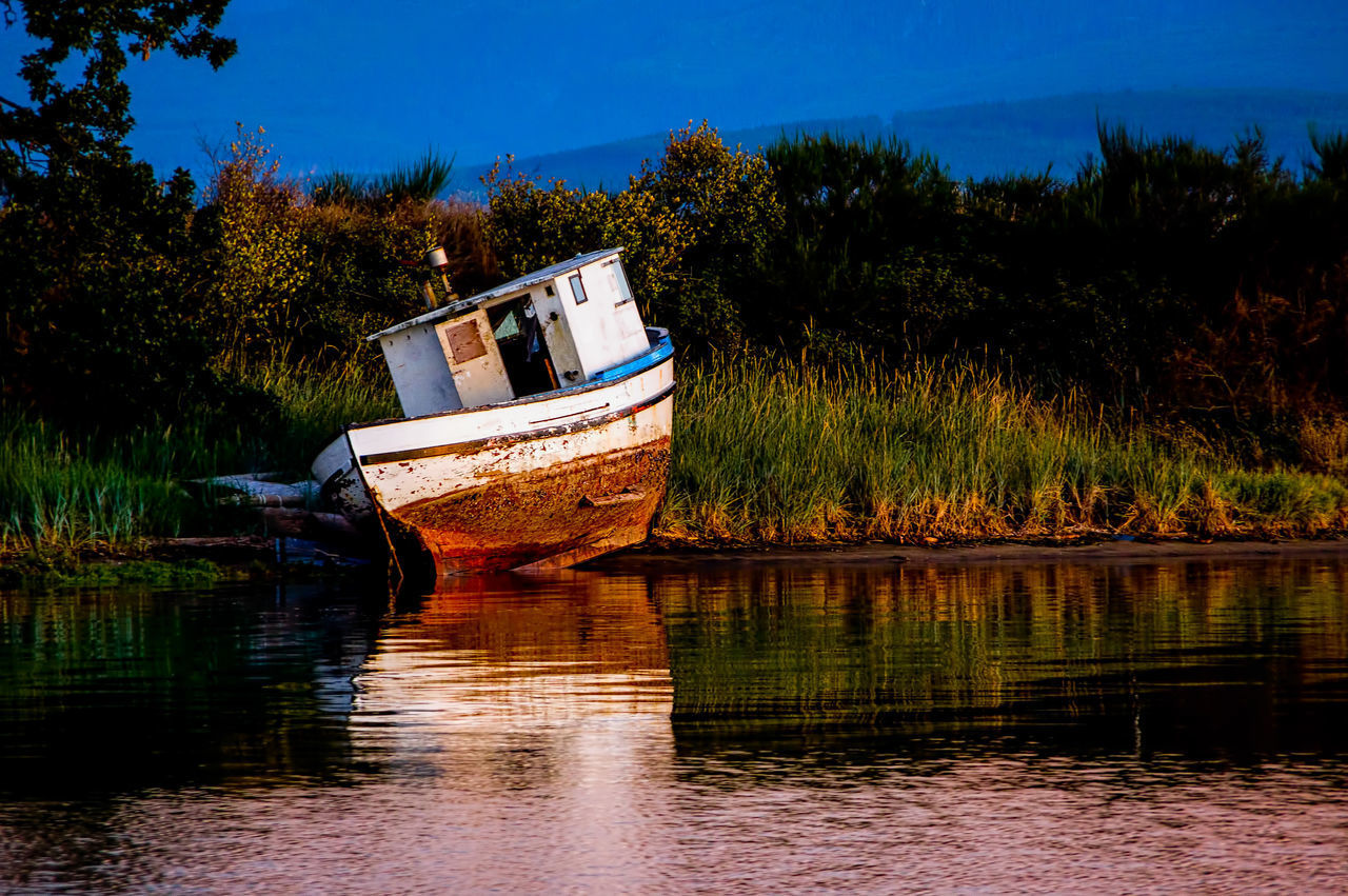 BOAT MOORED IN LAKE AGAINST TREES