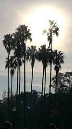 Silhouette palm trees against sky during sunset