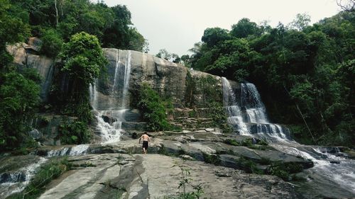 Scenic view of waterfall in forest