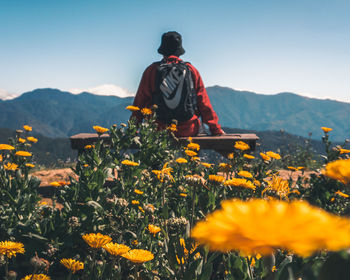 Rear view of man and yellow flowers