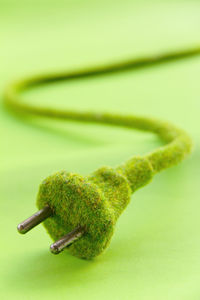 Close-up of snake against green background