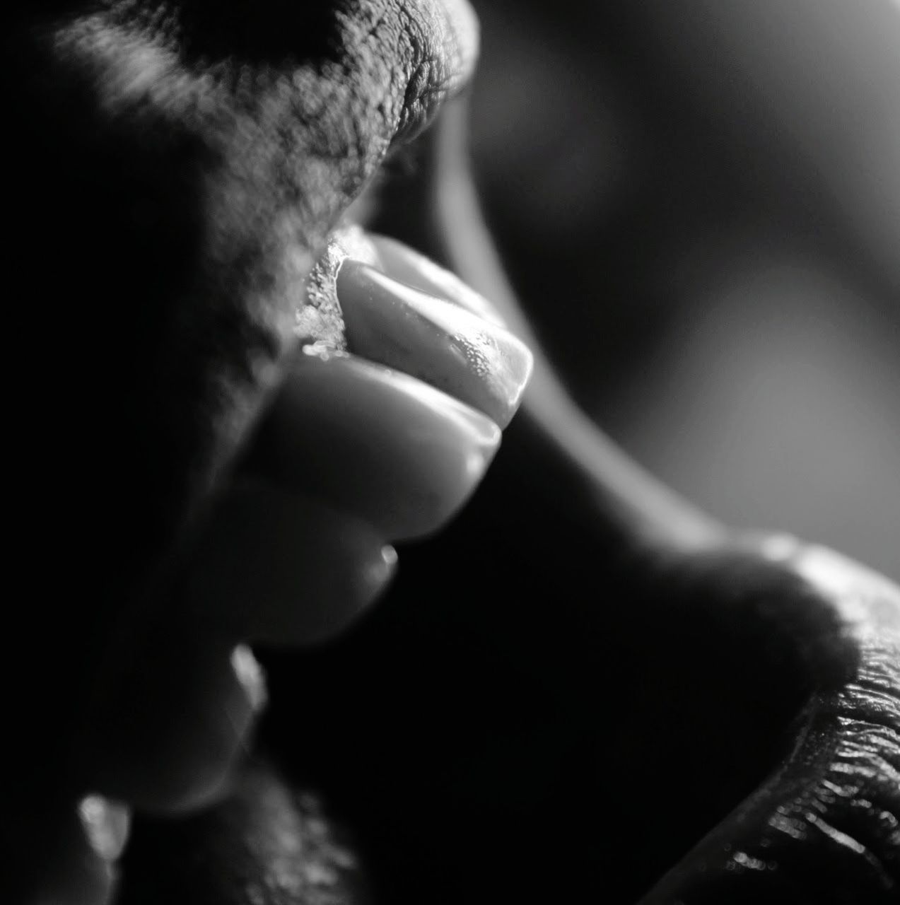 CLOSE-UP OF BABY HAND ON FINGER