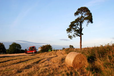 Hay bales on field against sky