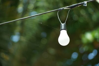 Low angle view of light bulb hanging on cable