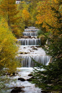 Stream flowing in forest during autumn