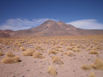 Scenic view of desert at san pedro de atacama