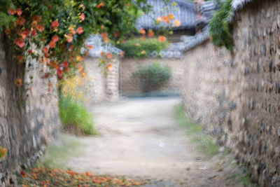 Footpath amidst buildings in city