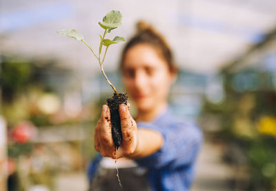 Anonymous female gardener holding in hands young green plant with ground while working in greenhouse and planting flowers